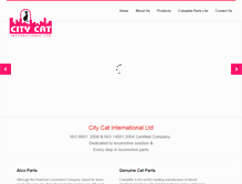 Tablet Screenshot of citycatinternational.com